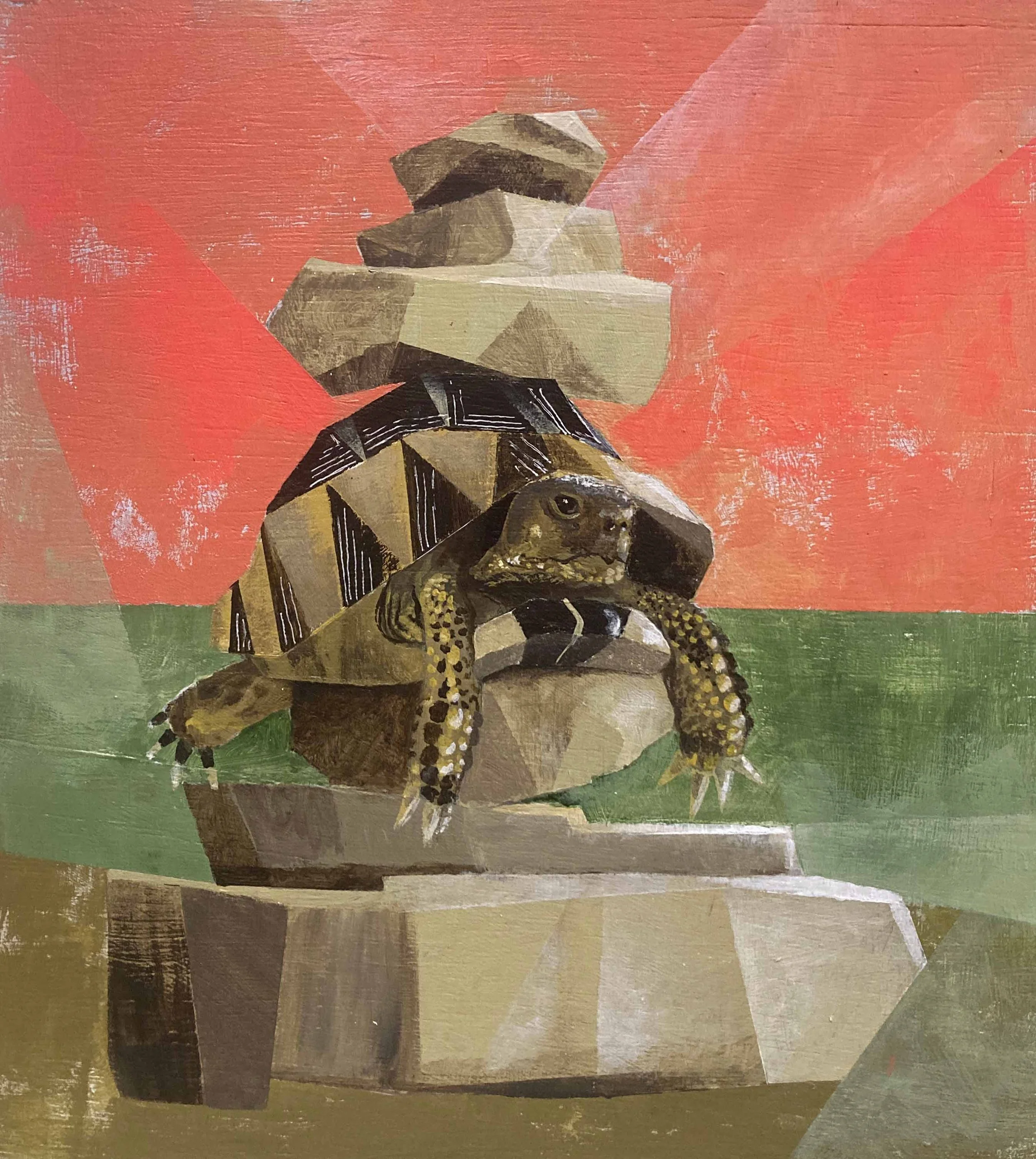 Tortoise Wonders...Small.jpg