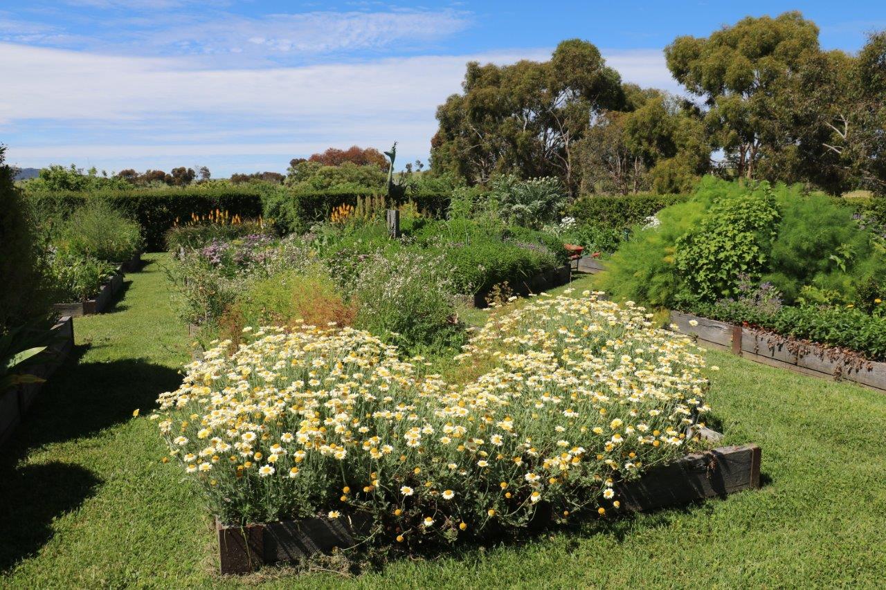 organic vegetable garden and orchard
