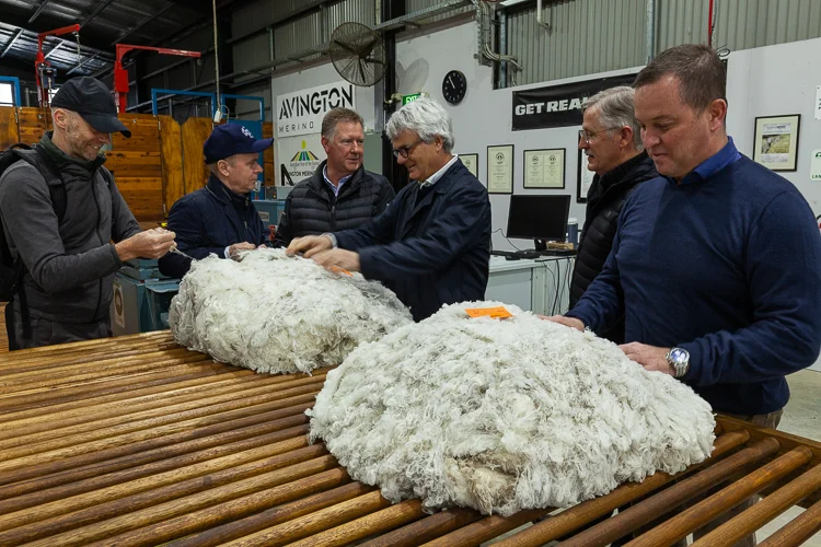 Marzotto and Schneider visitors reviewing show fleeces