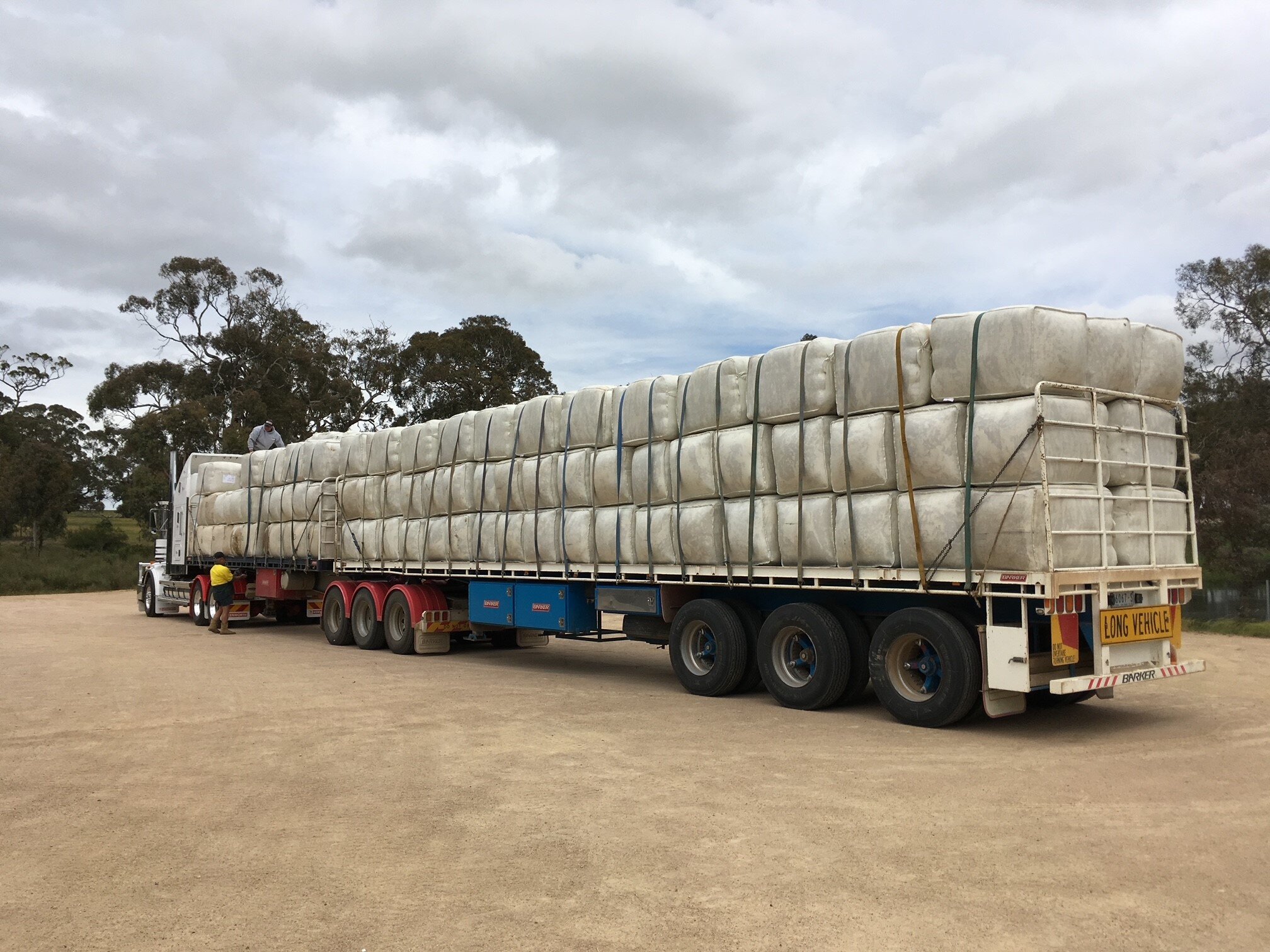 Wool transport to Melbourne store