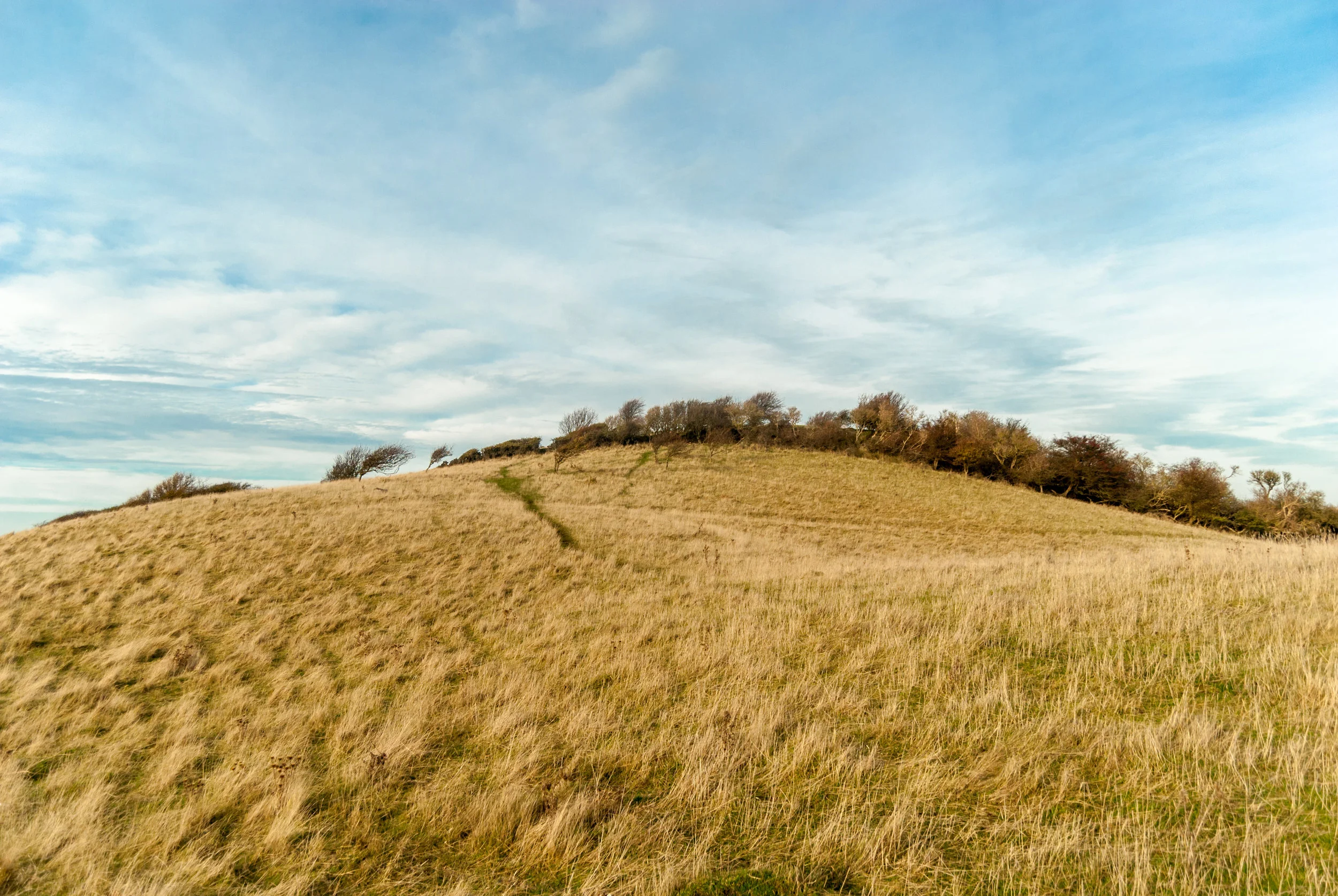 This is my favorite picture of 2016. It’s currently residing on my desktop as my wallpaper and really reminds me of the default Windows XP wallpaper back in the day, but taken in a harsher environment. Looking closer at the image it’s clear that the harsh winds contribute to how the trees and grass behaves. Everything is angled further away from the water the closer you get to it. The shot is from the Fyns Hoved, a cycling trip I did before it got cold. Nikon D200.