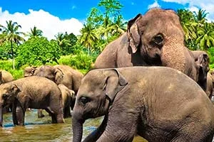 sri-lanka-tumb.jpg