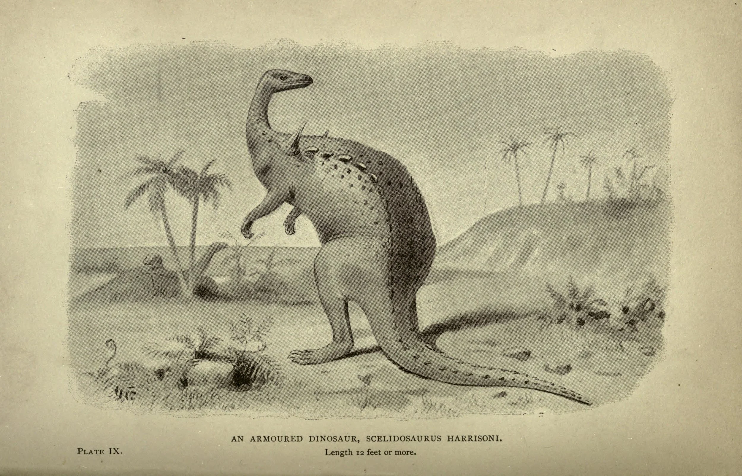 Figure 1 : Scelidosaurus harrisoni by Joseph Smit, from Extinct Monsters (1892)