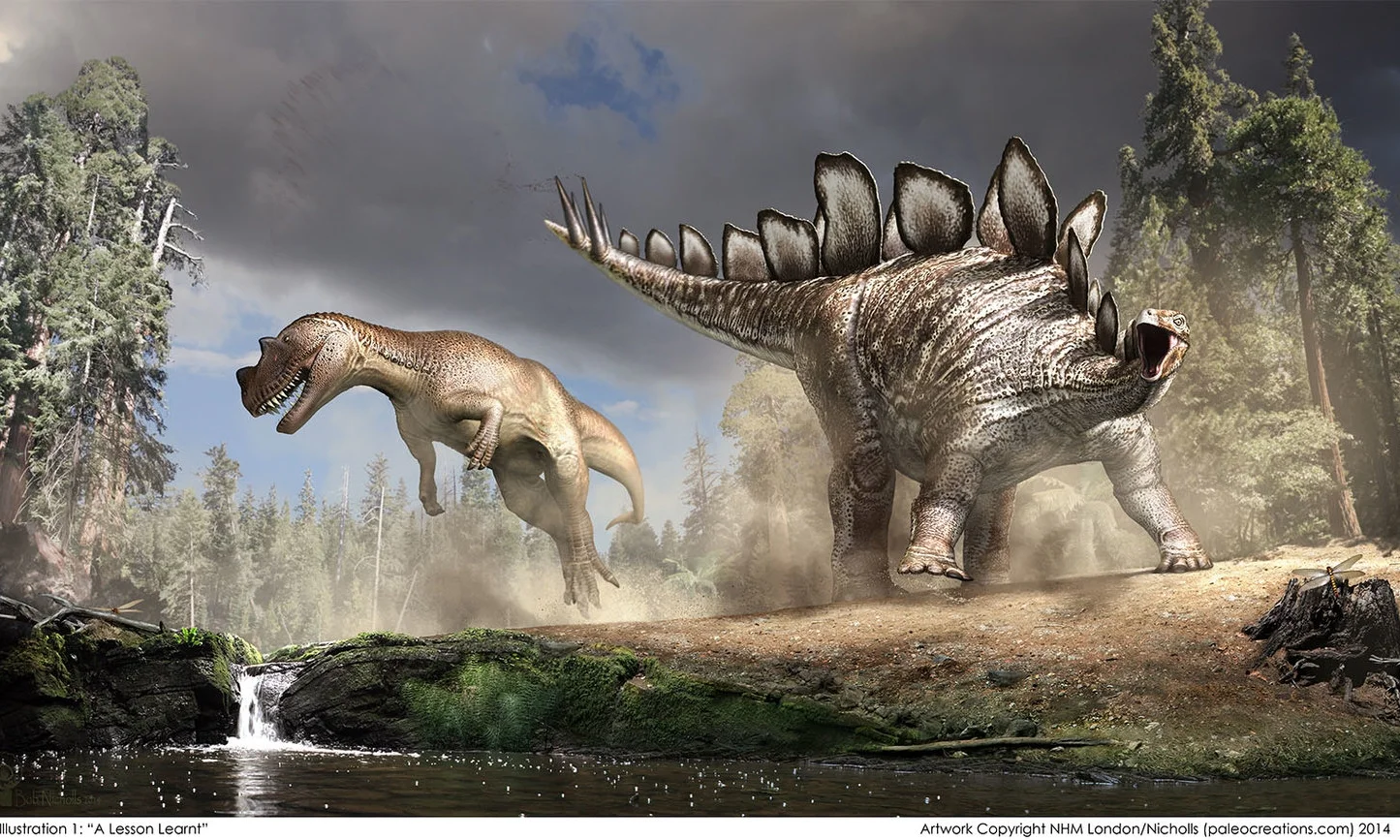 NHM+Stegosaurus+©Nicholls2014.jpg