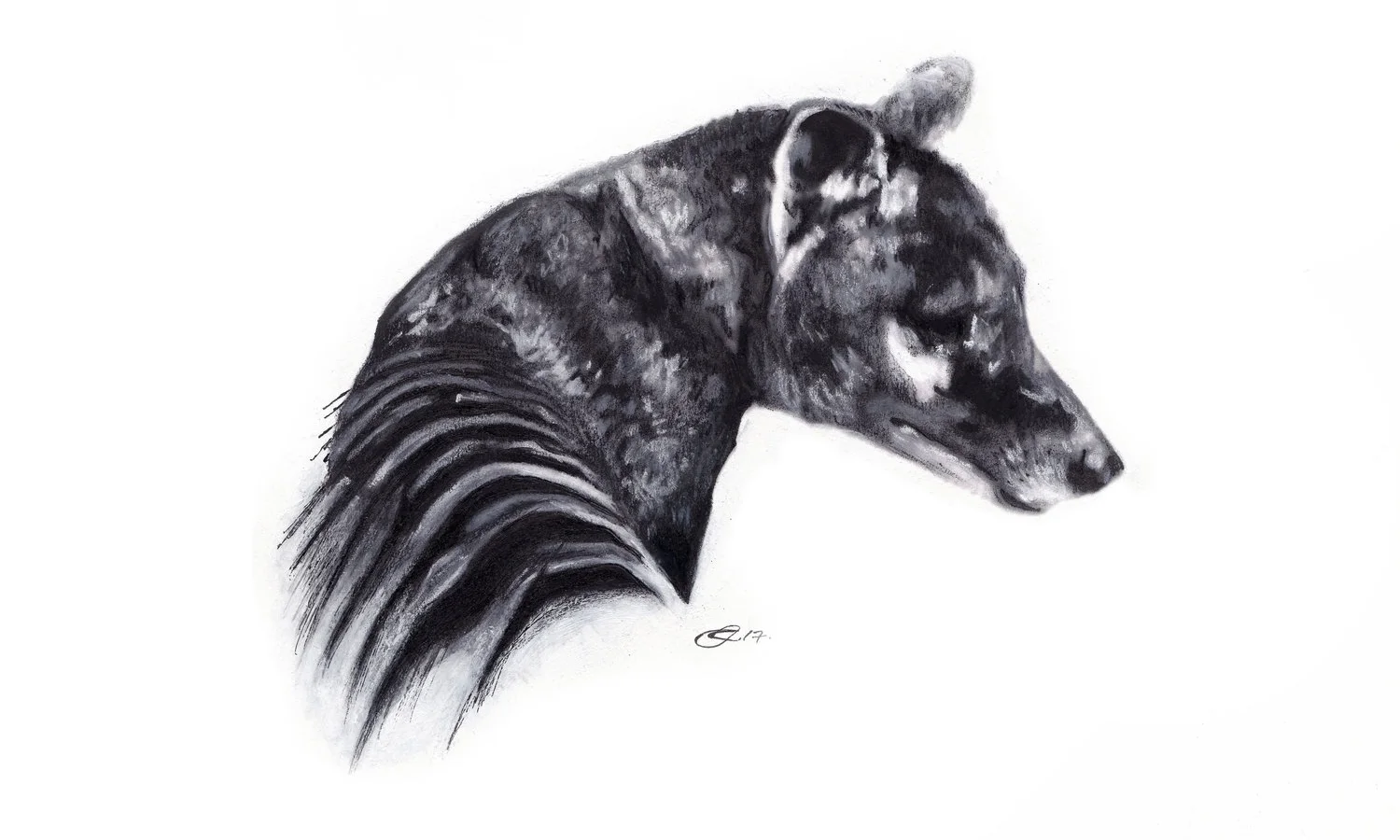 thylacine+complete2.jpg