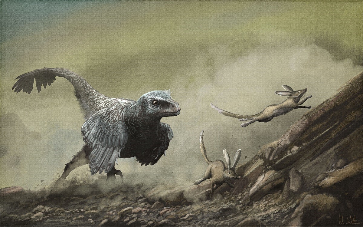 The decision to restore prehistoric animals as monsters is artistic, not scientific. It is entirely possible, and probably more scientifically credible, to restore ancient animals in naturalistic ways even when they are engaged in potentially violent acts, like predation. Here, Velociraptor mongoliensis chases down Zalambdalestes lechei . The choice to show this famous movie villain pursuing small prey is at odds with our cinematic experiences, but is also far more consistent with the behaviour of living predators.