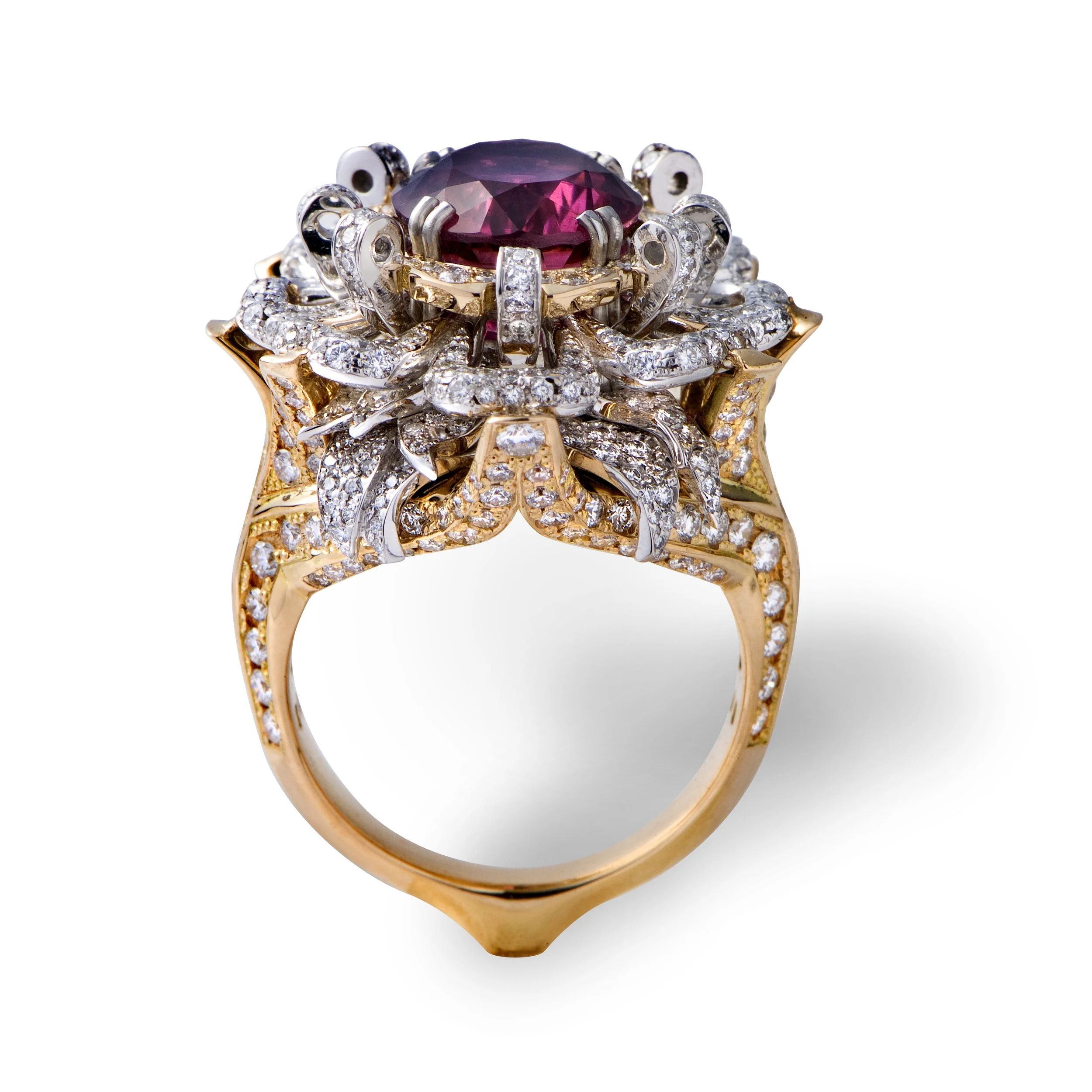 LodeMartens (151).jpg