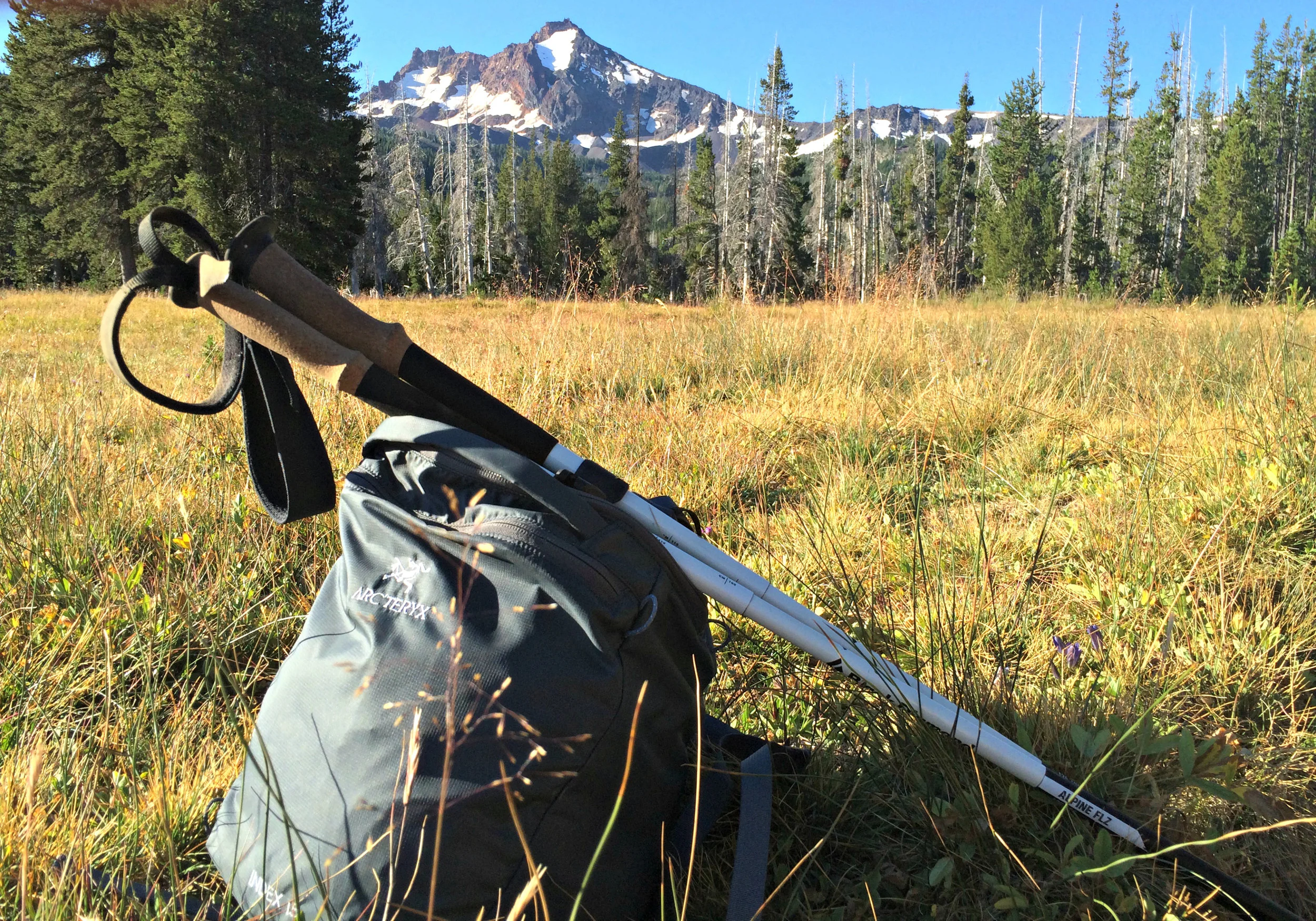 Broken Top Meadow.JPG
