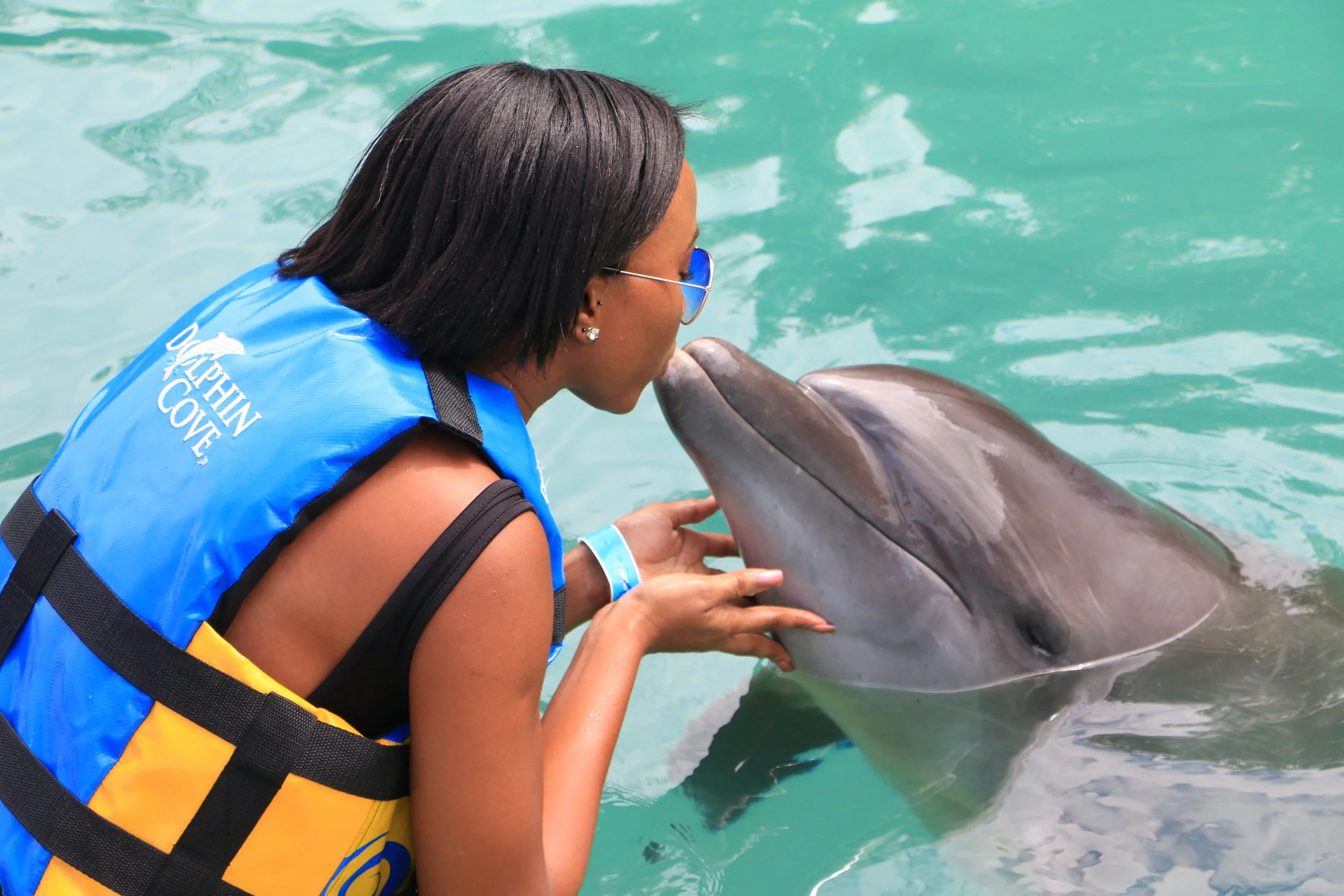 A Sunday at Dolphin Cove