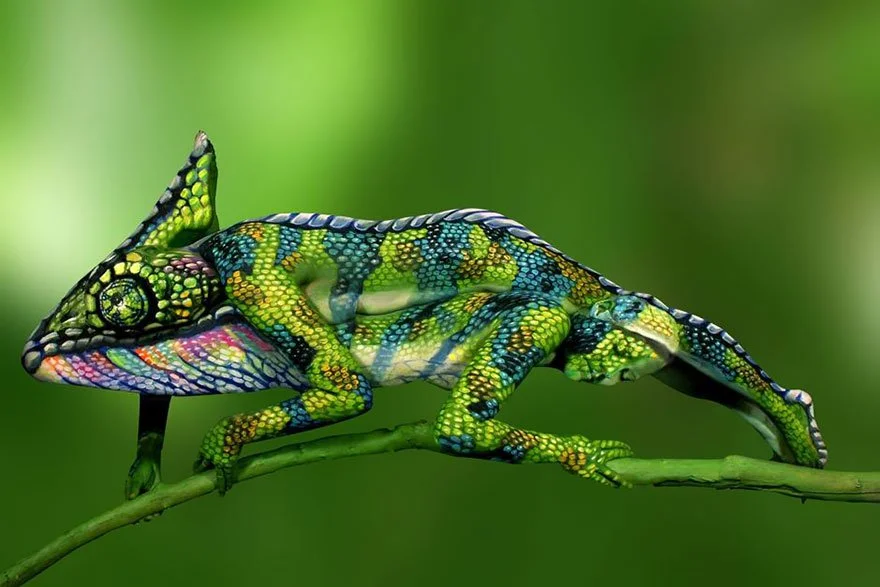 It's a photo of two persons on top of each other painted like a chameleon. See it now?