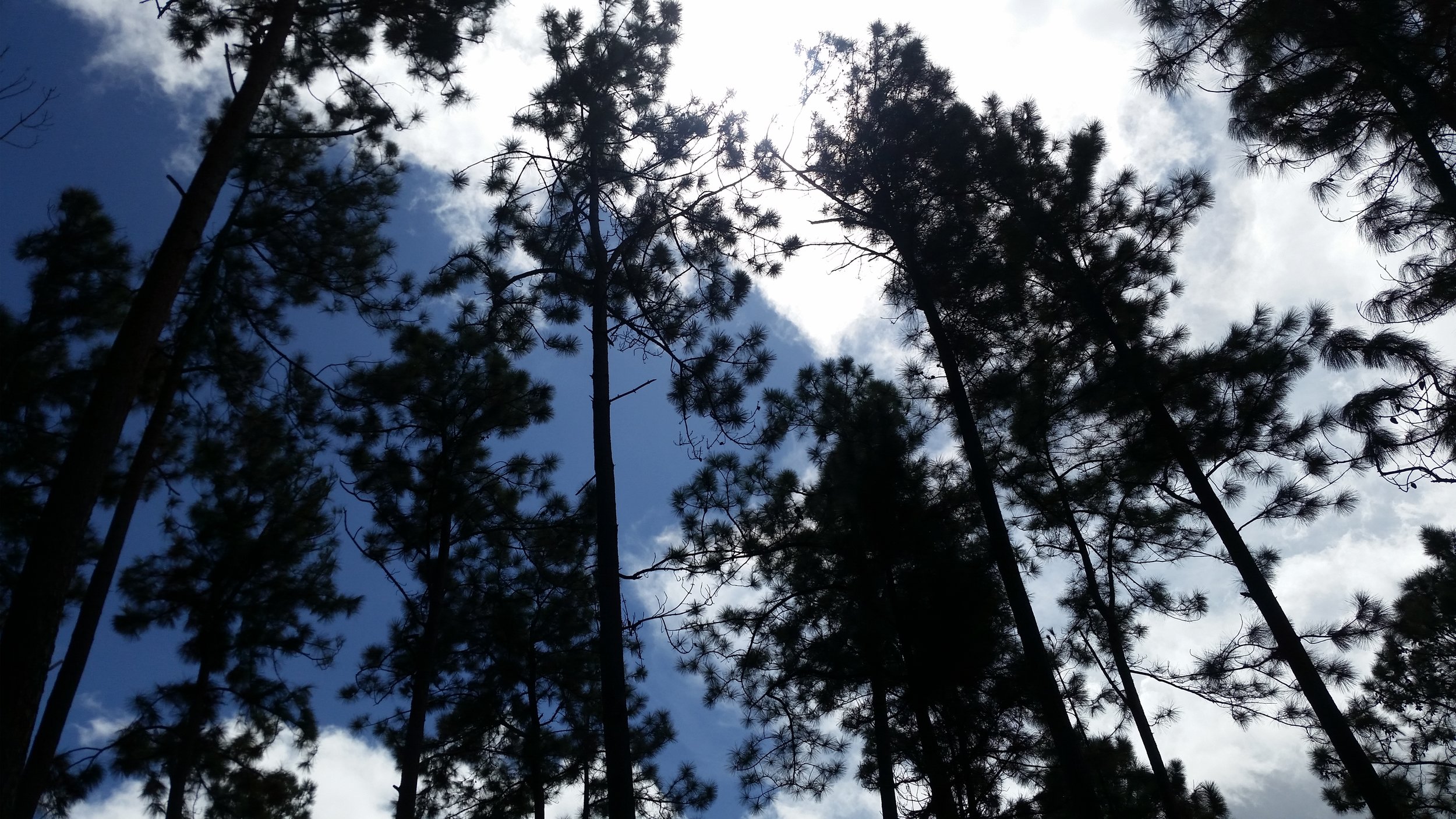 20171028_111125.jpg