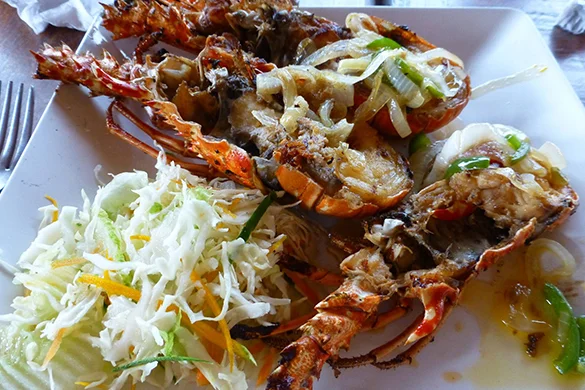 restaurant-585x390.jpg