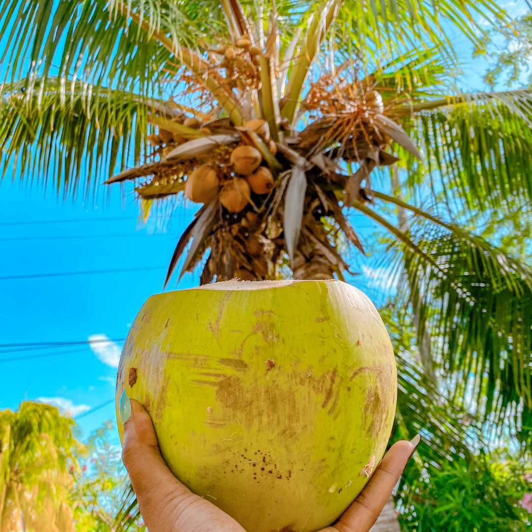 Sea Urchin Villa , Treasure Beach | Suety Travel Diaries