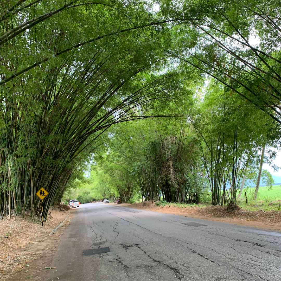 Travelling tips: Driving on Jamaica's South Coast 
