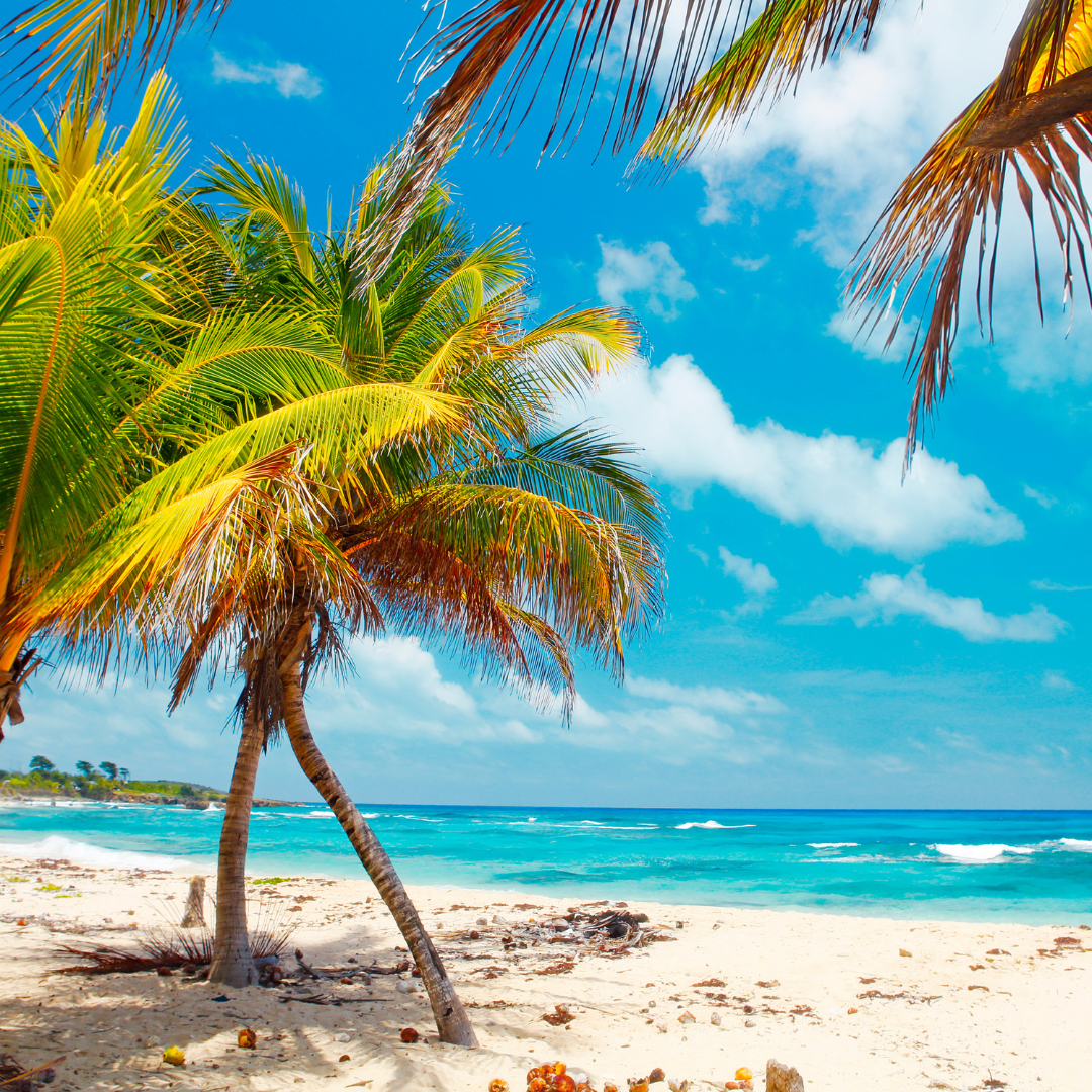 Jamaica in September: Weather, Travel Tips, and What to Expect