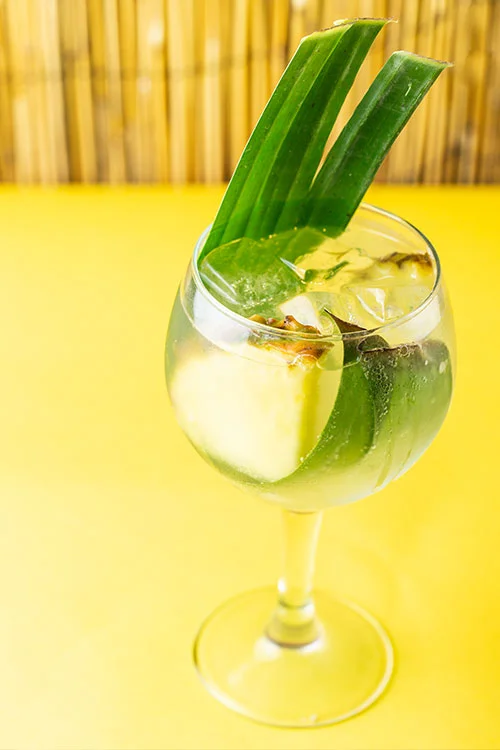 Gin-cocktail-hoxton-gin-pineapple-gin-and-tonic.jpg