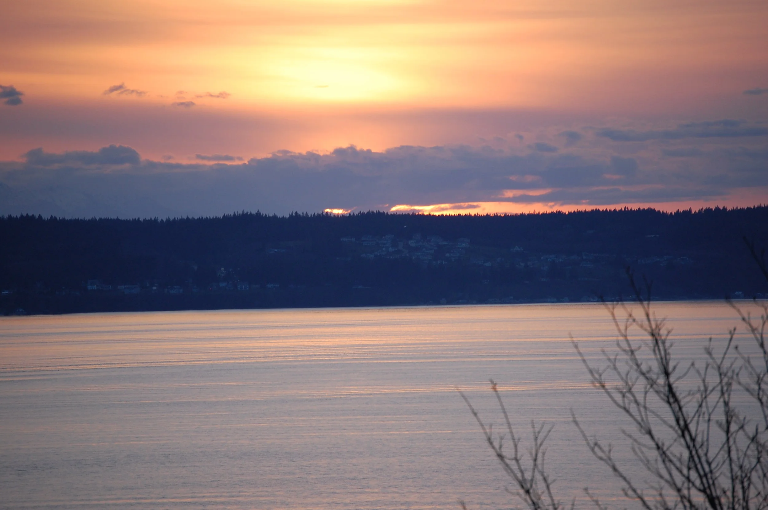 dsc_0094.jpg