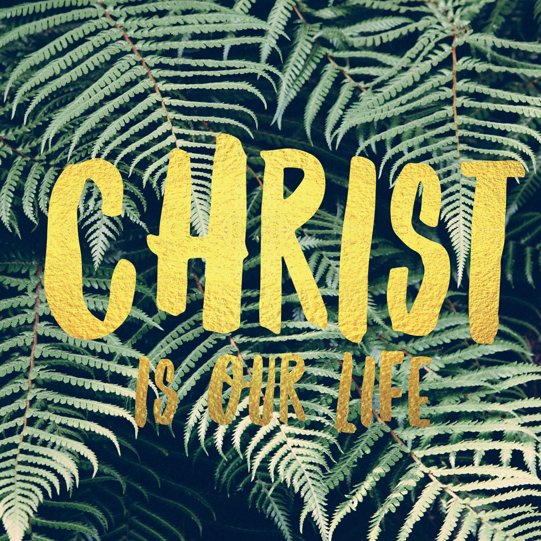Christ Is Our Life