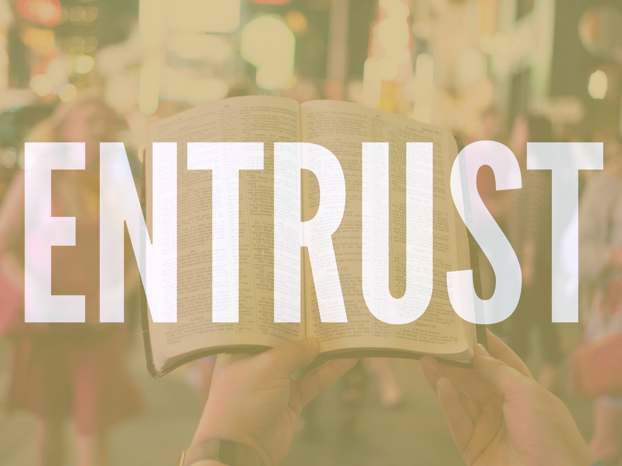 Precept Leader Profile | Candee