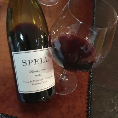 2014-Spell-Estate-Pinot-Noir-Terra-de-Promissio-Vineyard.jpg