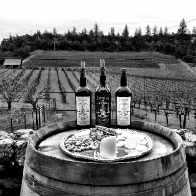 Judge Palmer Wine Co. Interview | Wine Tasting