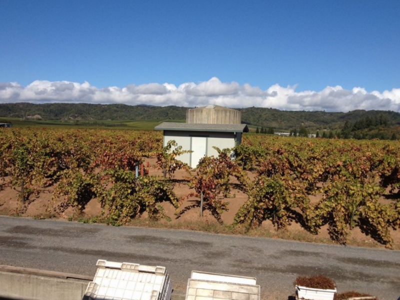 View from on Top of Fermentation Tanks