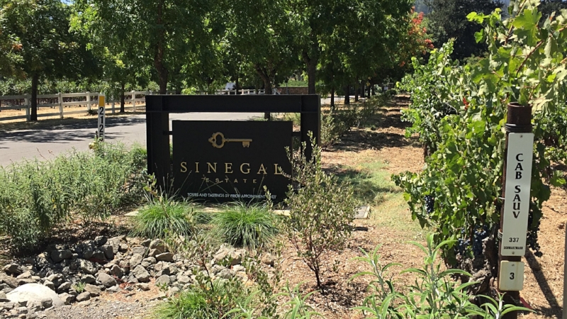  Welcome to Sinegal Estate! 