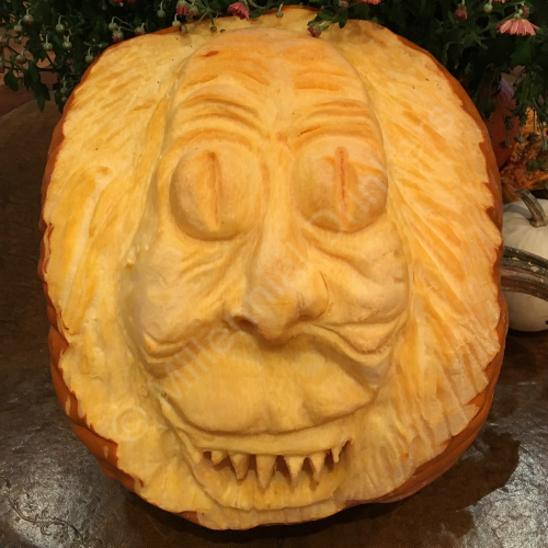 IMG_1817.png