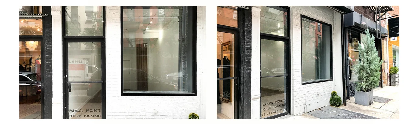The Venue: 251, Elizabeth St, New York, NY 10012, USA