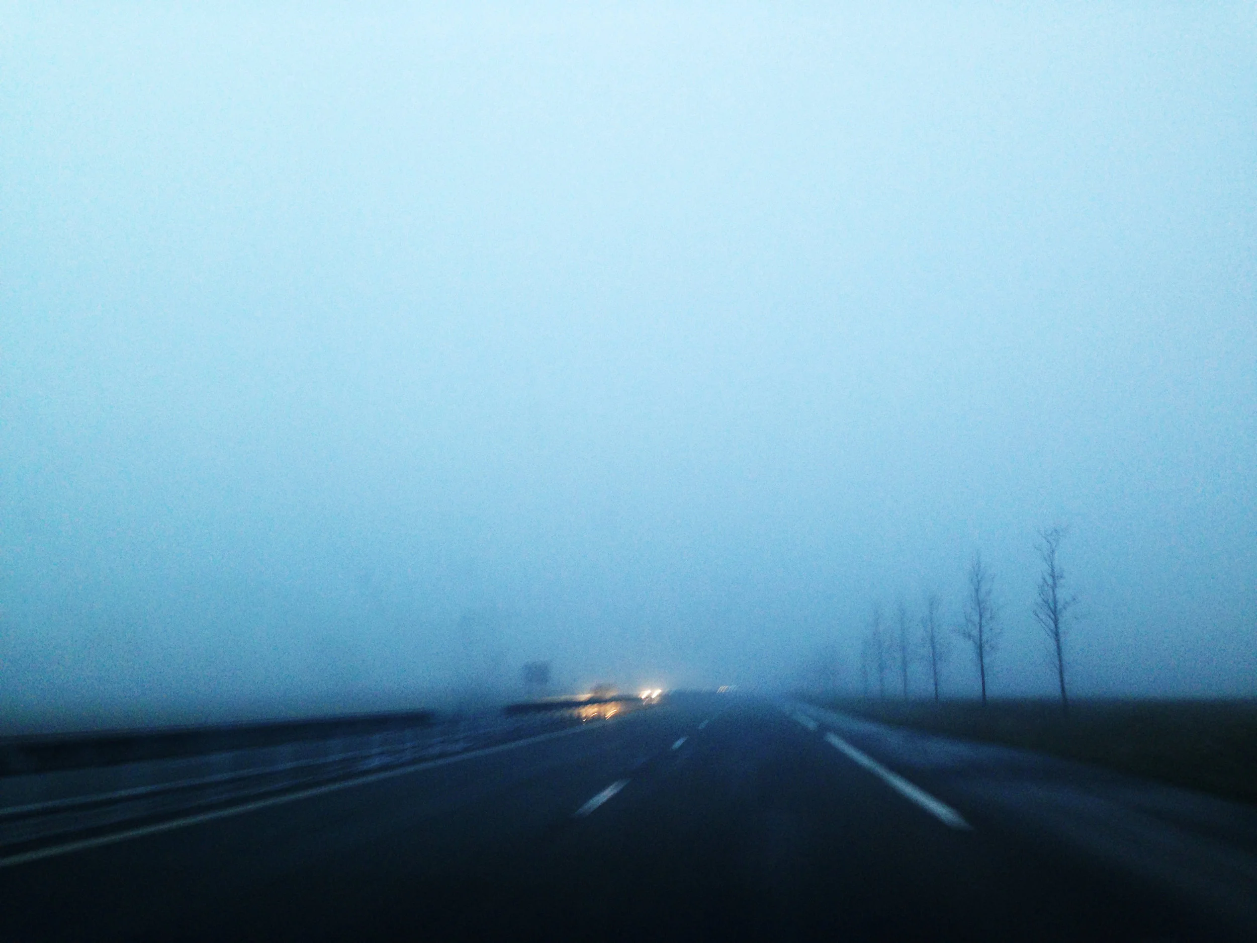 16859029047_dff3756b51_o.jpg