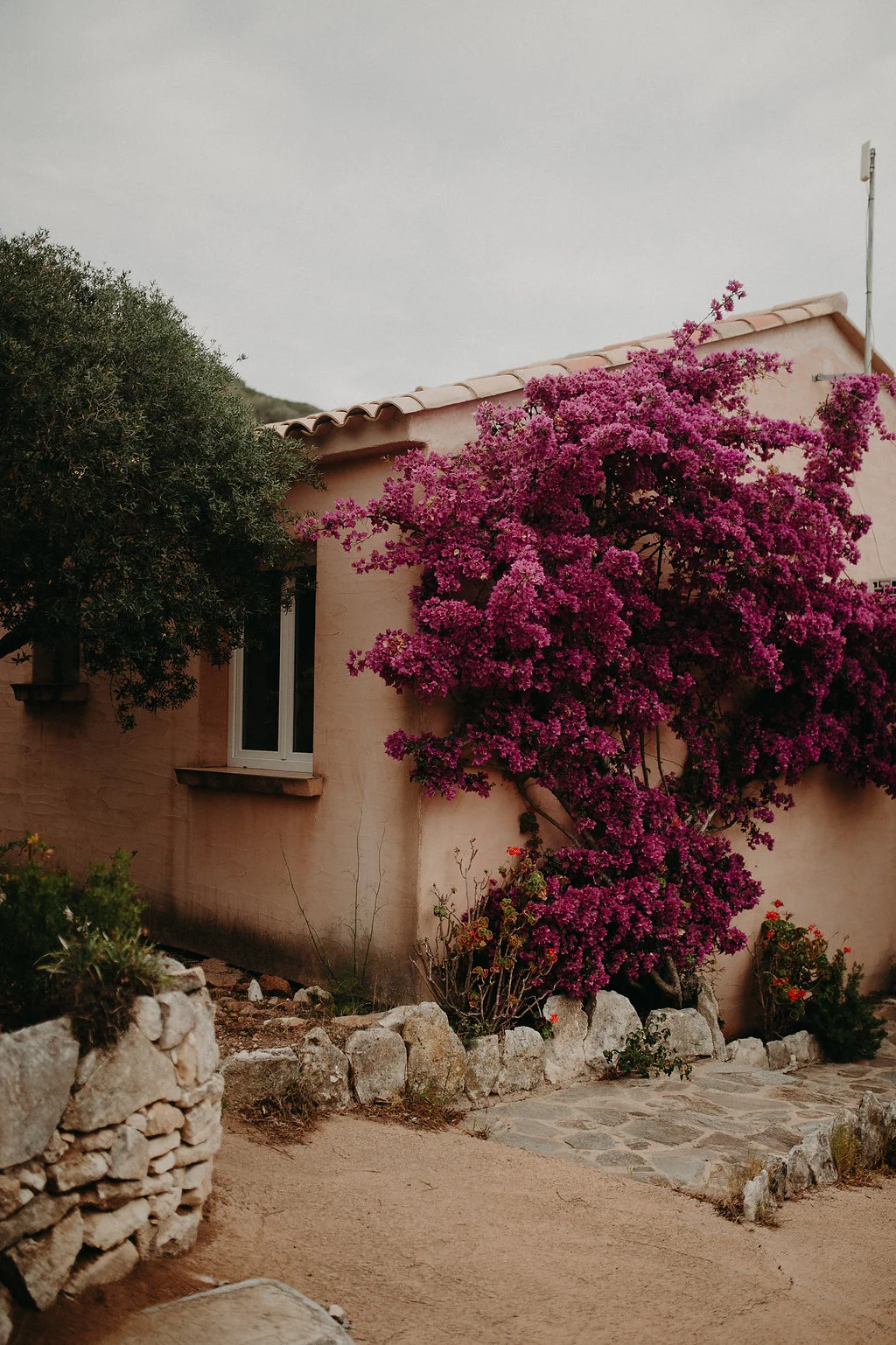 SightBySight-Mariage-Photographe-Corse (91).jpg