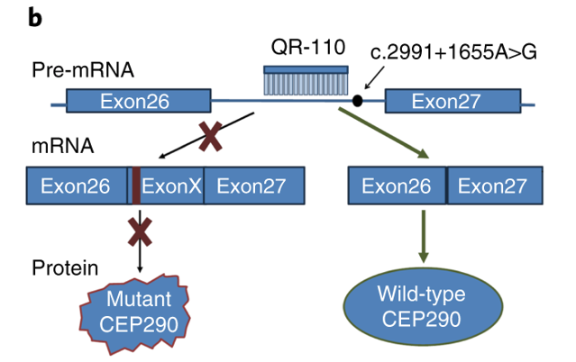 Image credit: https://www.nature.com/articles/s41591-018-0295-0#Fig1