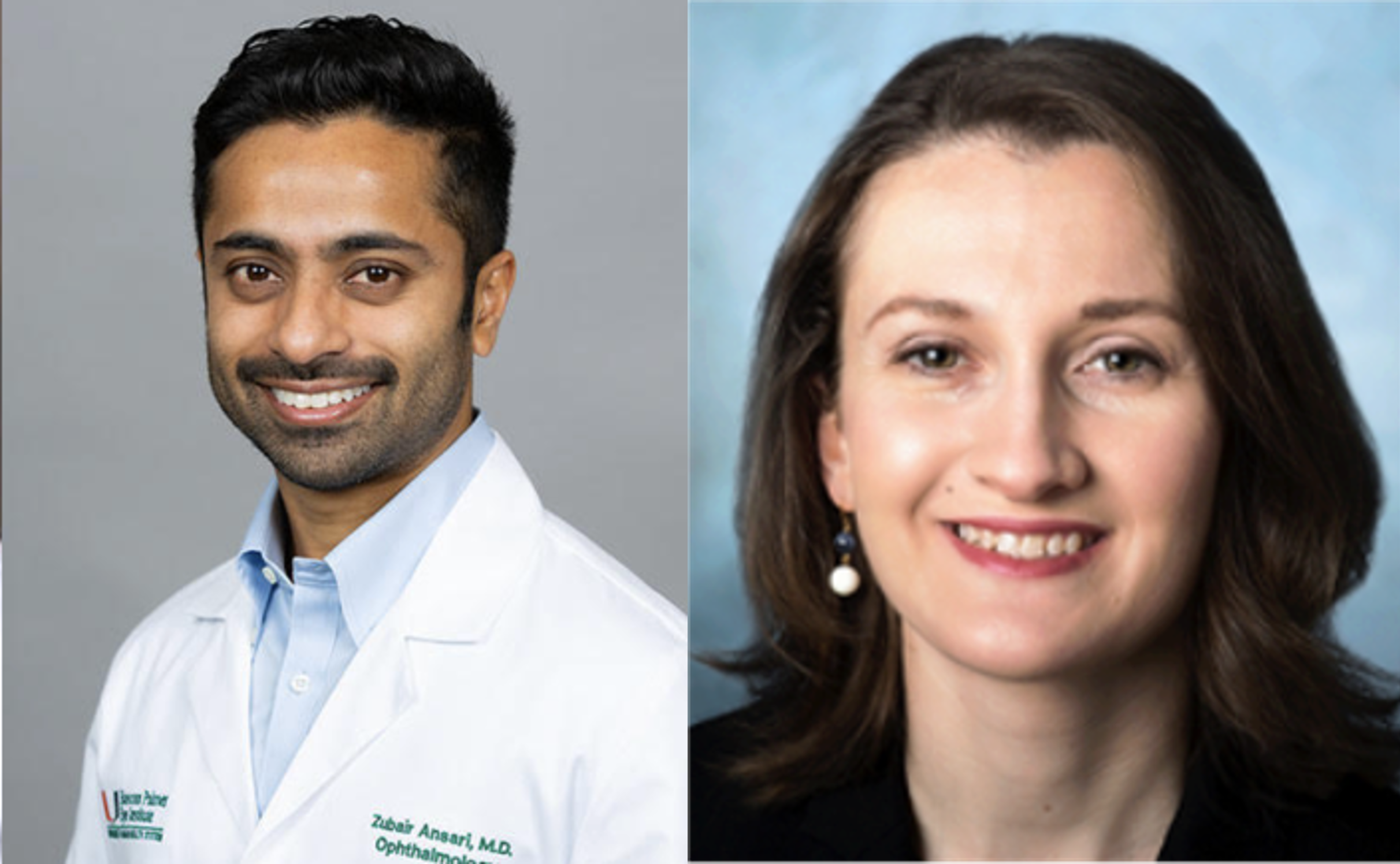 Ansari and Talcott.png