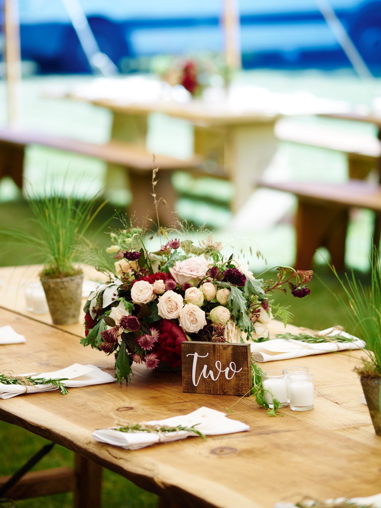 Farm tables and benches with wooden table numbers and centerpieces with plants - Pearl Weddings & Events