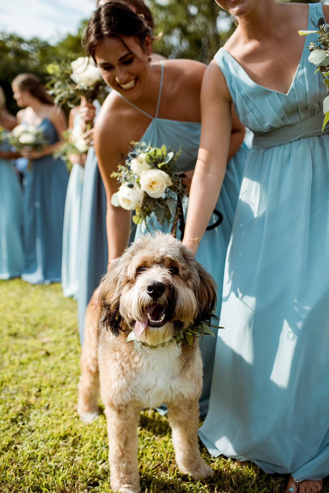 Dog at the wedding ceremony! - Pearl Weddings & Events