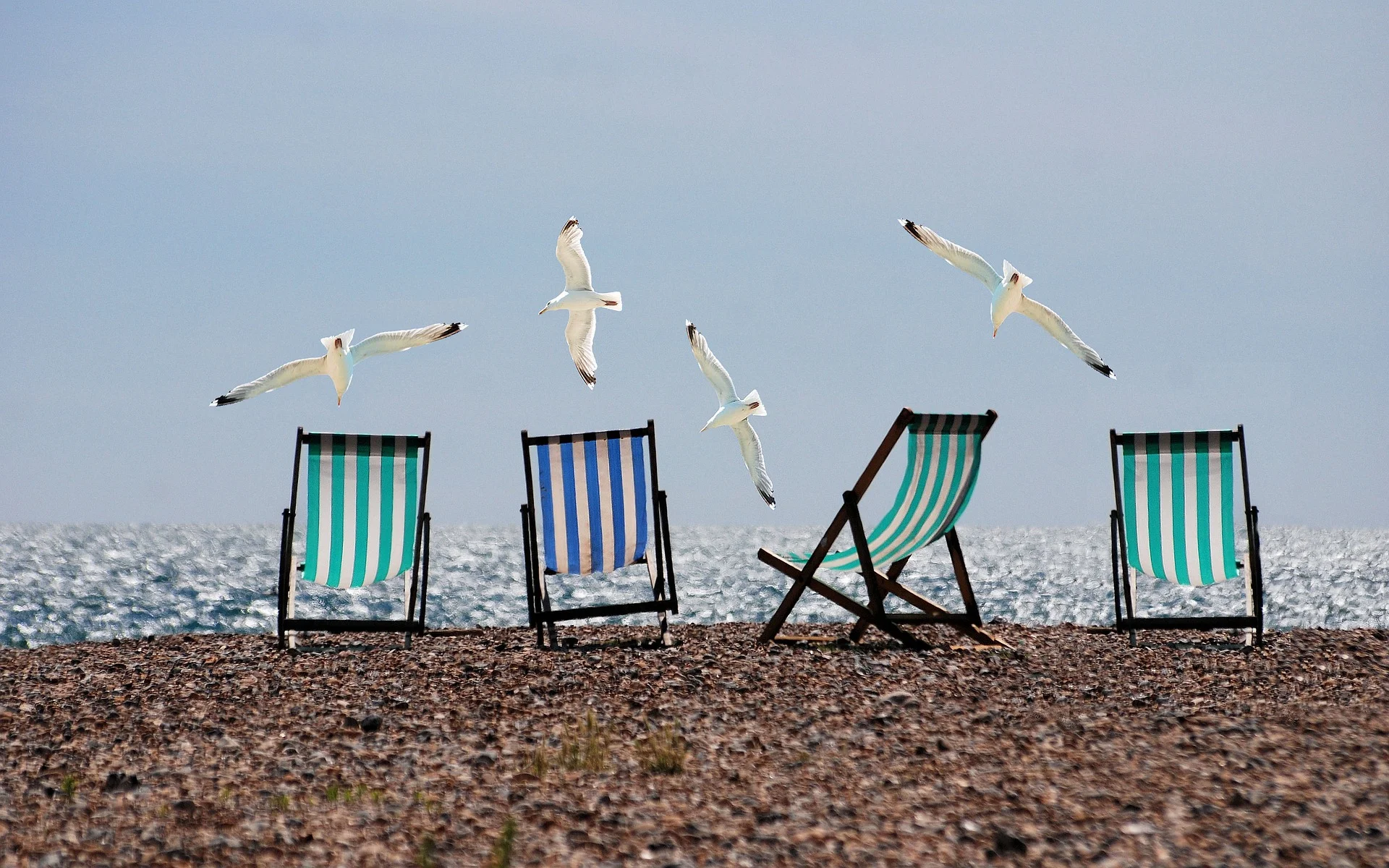 summer-814679_1920-2.jpg