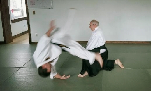 Goldberg Sensei demonstrates at Albany Daito Ryu Seminar