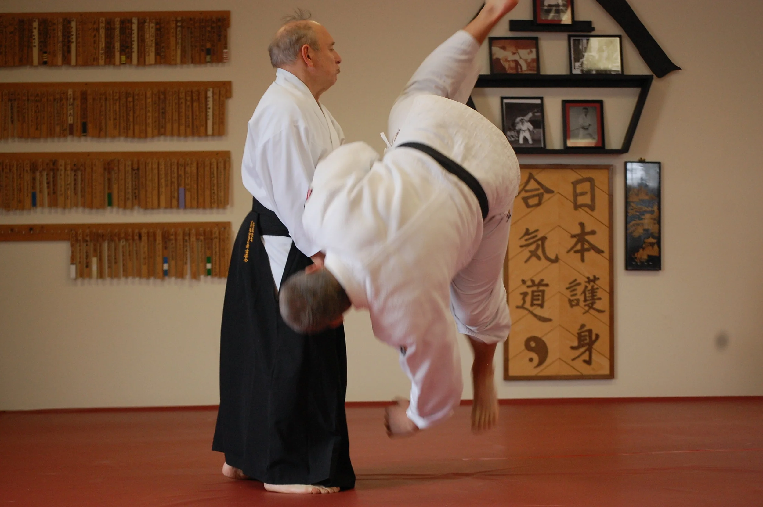 Daito Ryu Seminar at Aikido School of Self Defense in Middletown, NY