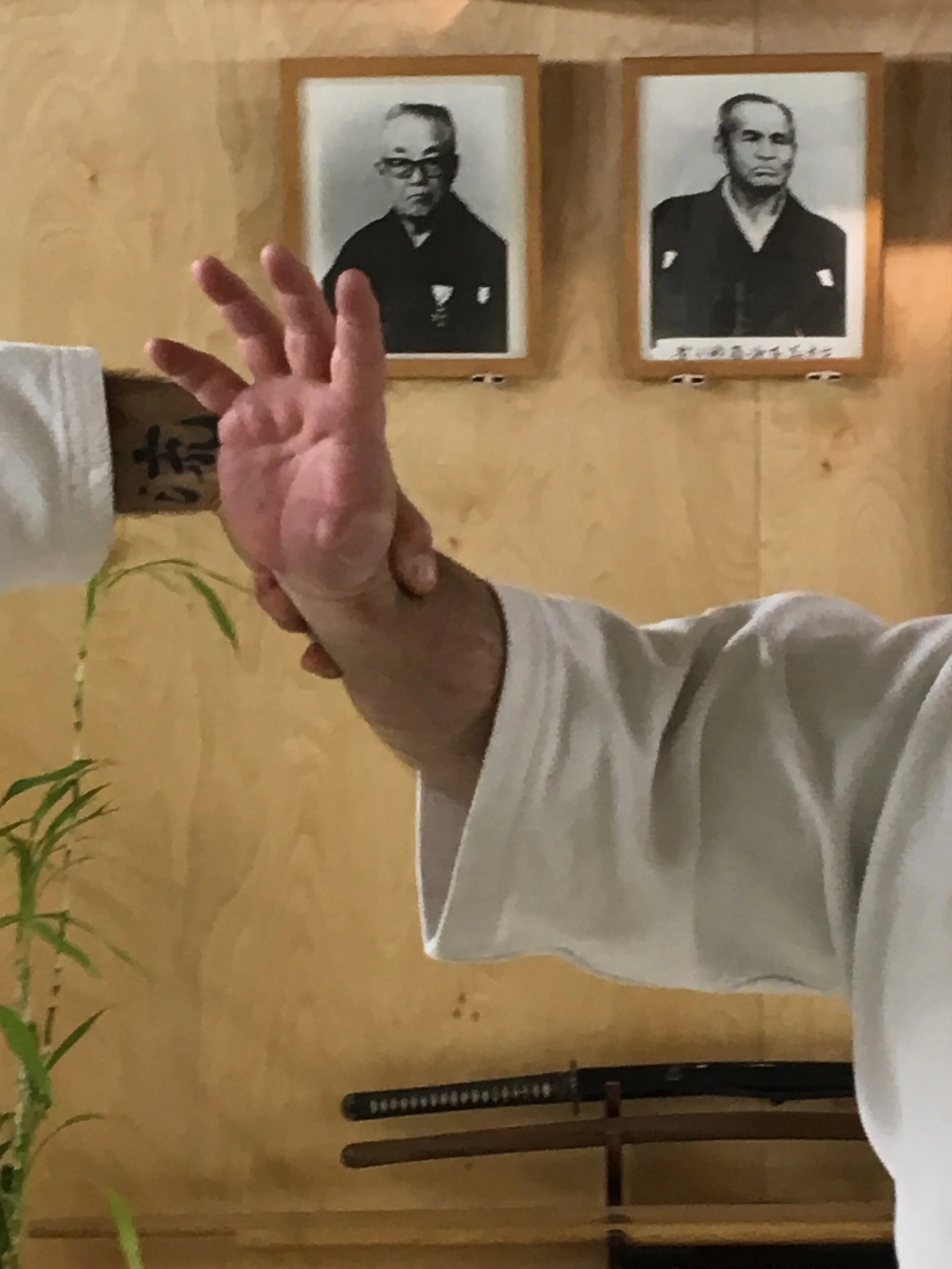 EAST LYME, CT—Roy Goldberg at Bushidokai Dojo