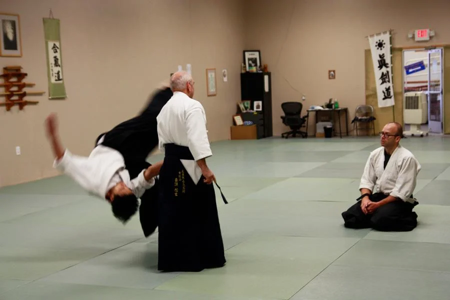 Goldberg Sensei demonstrating with uke Hung Le, Grand Rapids Study Group leader.