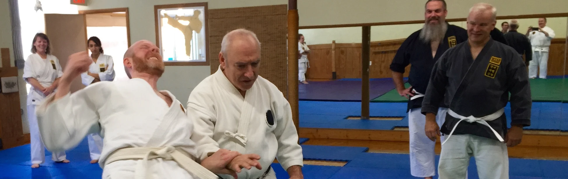 Roy Goldberg Daito Ryu Kodokai.jpg