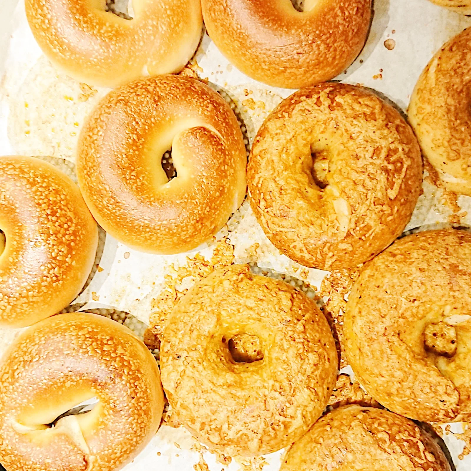 bagel
