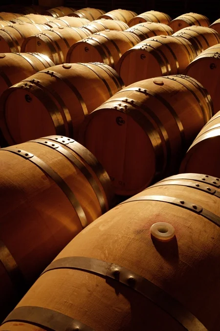 All processes are still manual and they are followed with constant devotion. The harvest is by hand only after full maturity of the grapes, for each individual vineyard , from a terroir unique and precious, in a philosophy, that favors the most atte…