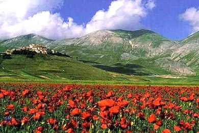 castelluccio.jpg