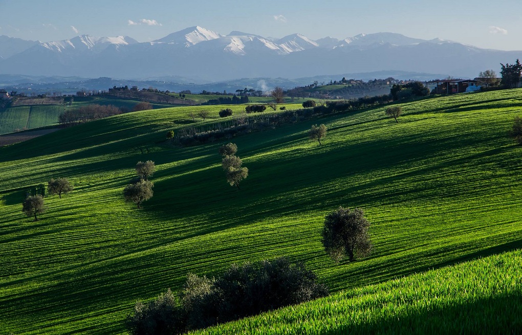 paesaggio sibillini.jpg