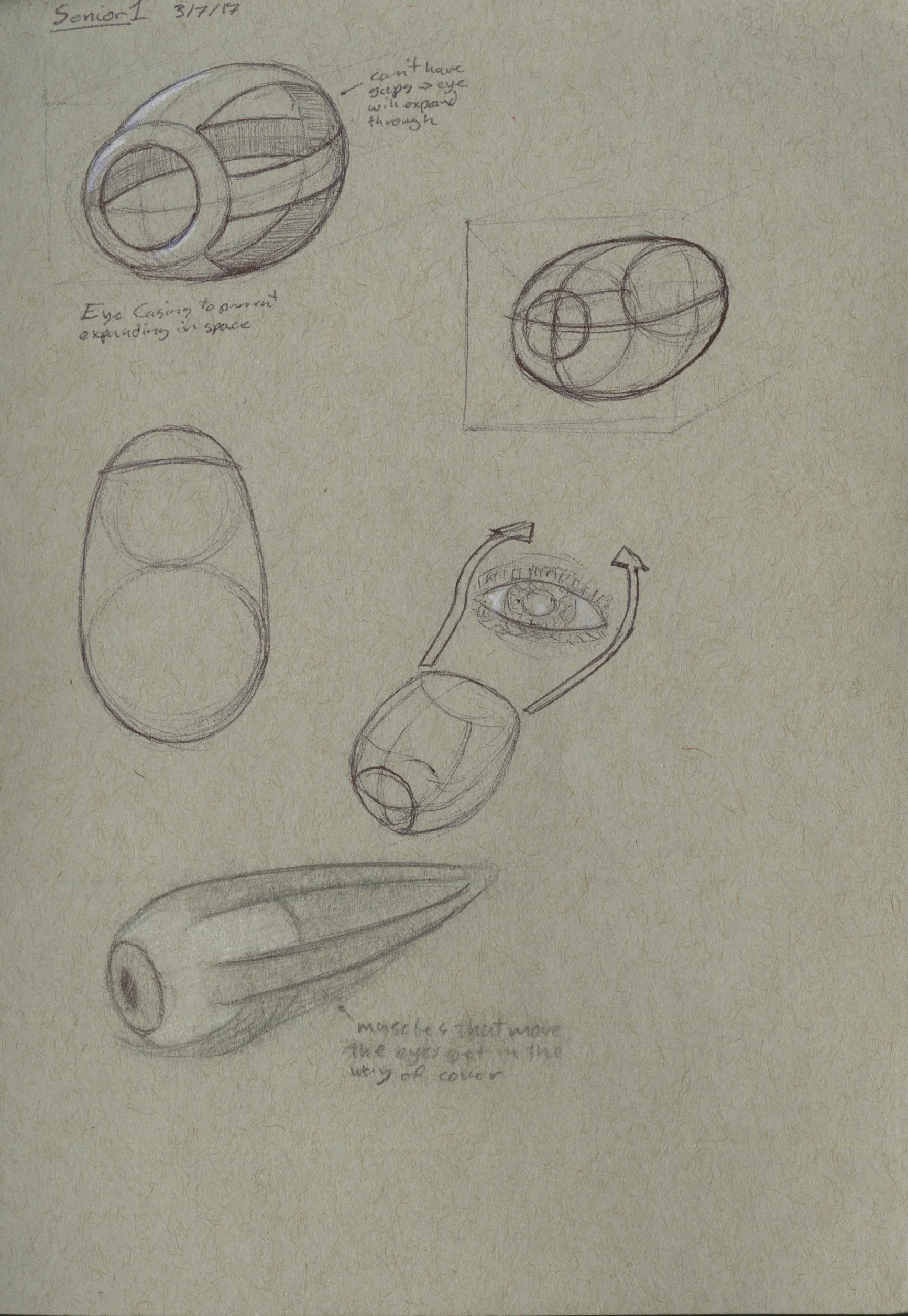 Initial Sketches