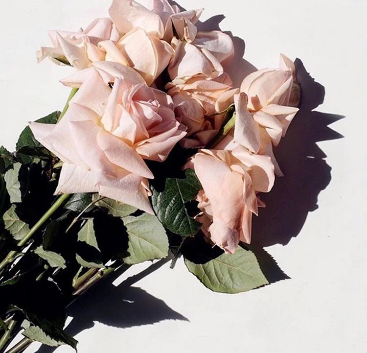 3 Things A Love For Flowers Taught Me About Life