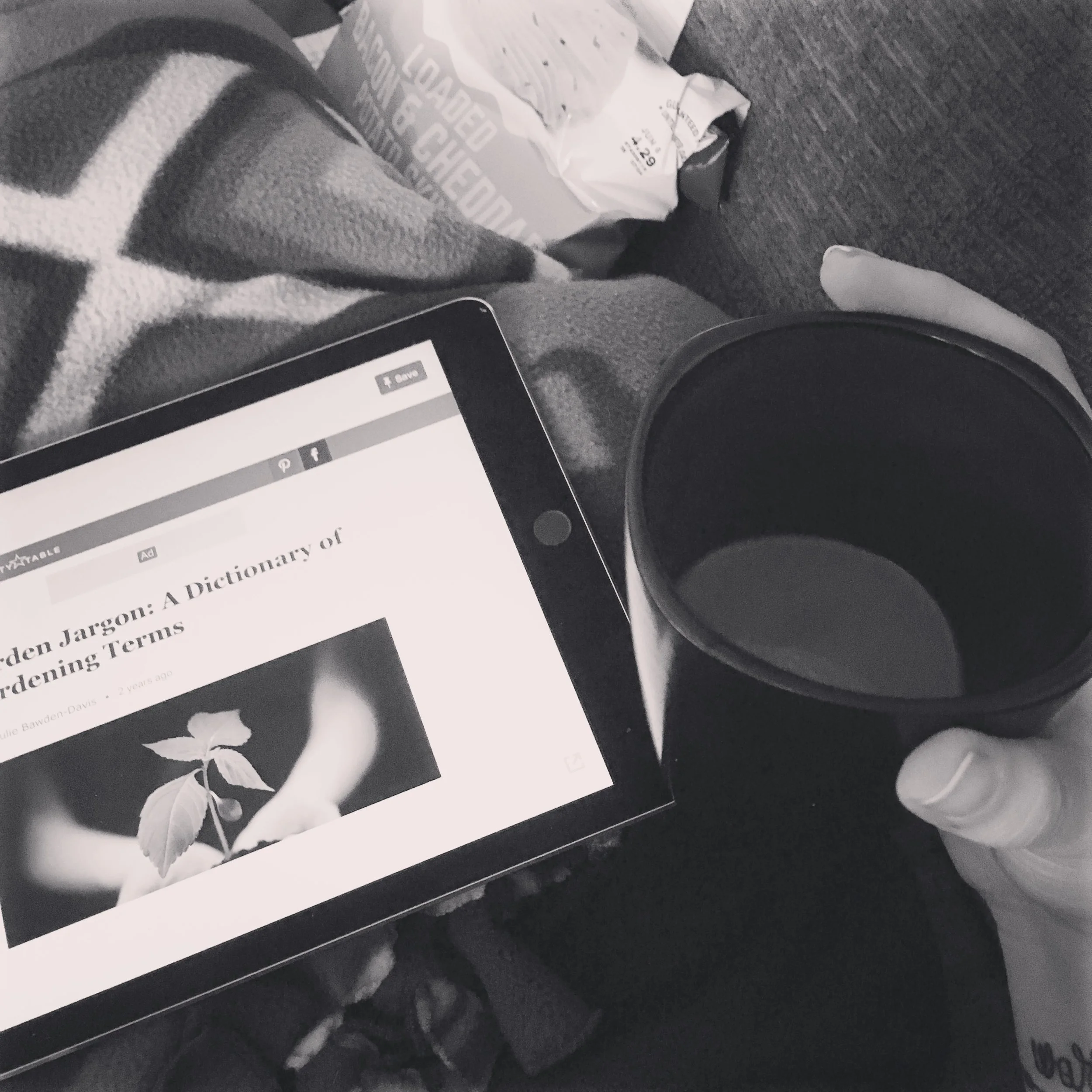 1816 || After dinner (leftovers) I do more research about gardening while sipping some cocoa that my husband made me.