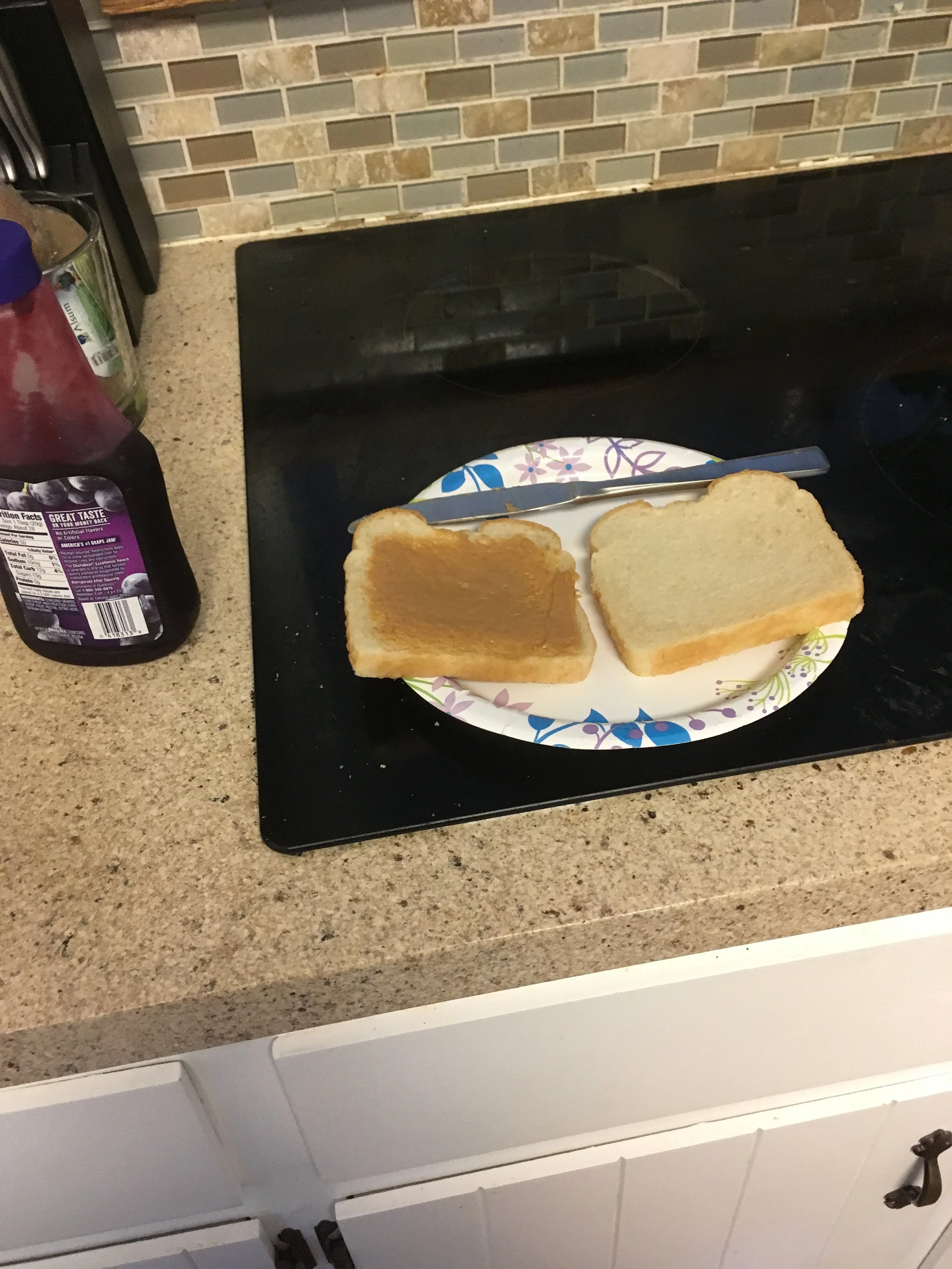 1652 || While waiting for one of Lee's band mates to come pick up the rest of the equipment for tonight, I make a quick PB&J. I've learned that you have to eat dinner before a show or else it doesn't go well for me. I really just need a nap.