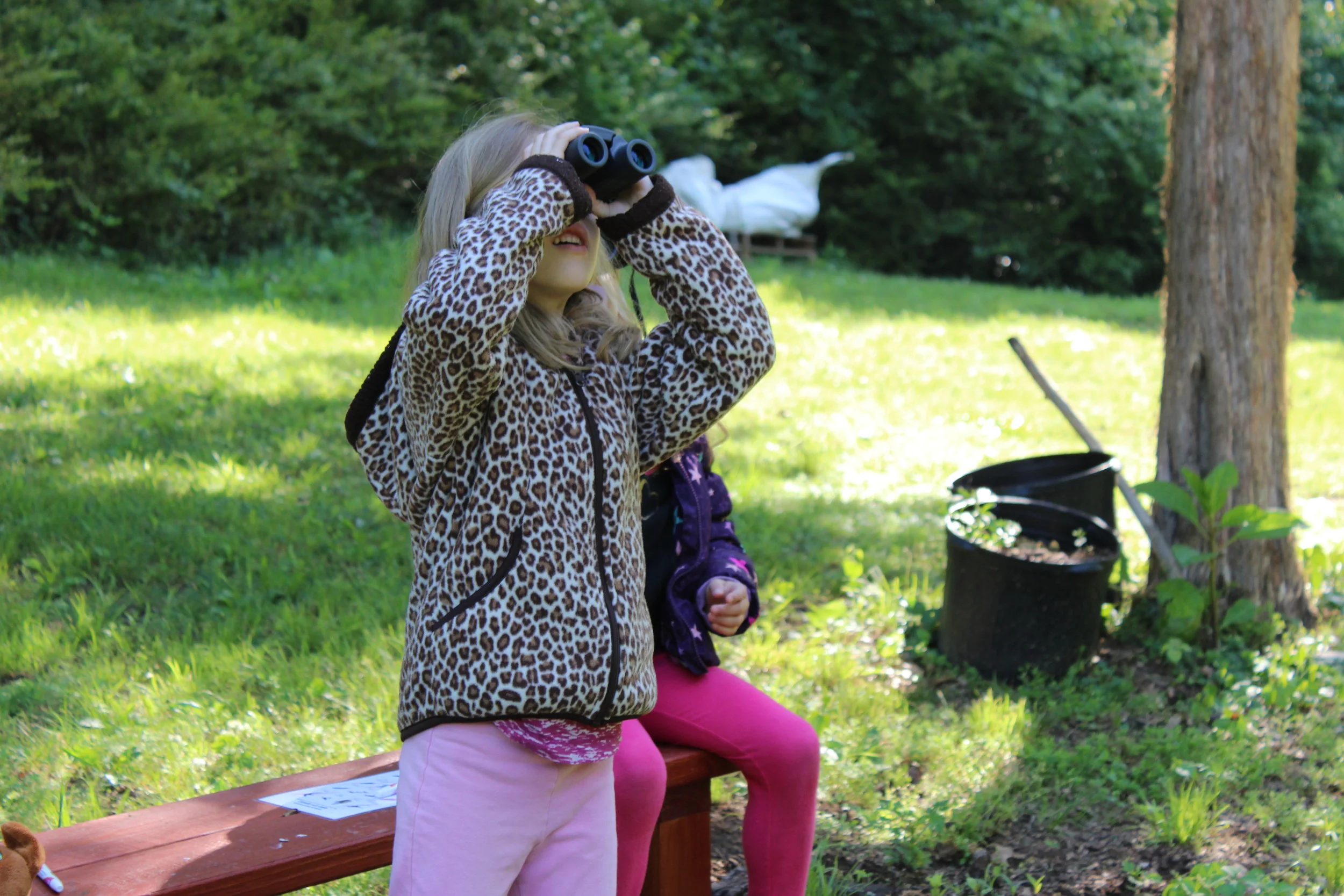 Tomorrow's Naturalists, Today